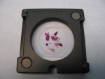 Microscopio ottico Campione in vitro per LMM